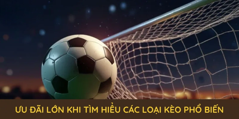 Các Loại Kèo Phổ Biến Tại QQ88 Và Loạt Ưu Đãi Mới Nhất 2025 2 Nhiều loại kèo cược hấp dẫn trong sảnh thể thao QQ88